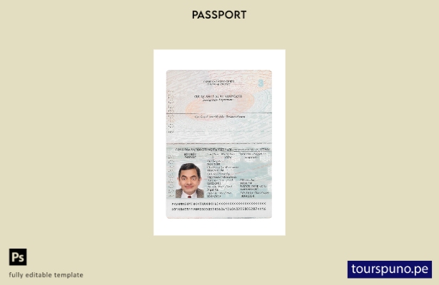 Listo para imprimir la plantilla actual del pasaporte de Vietnam